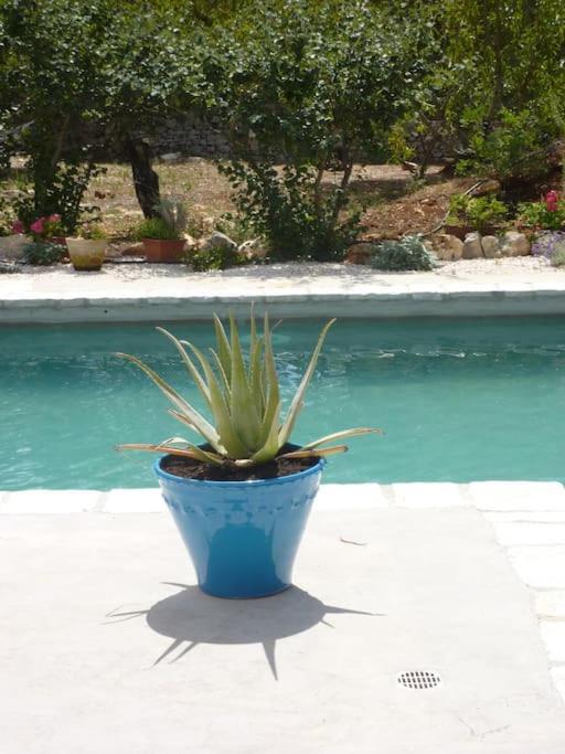 L'Annamarco Private Storical Trullo And Property With Large & Nice Swiming-Pool Ostuni Luaran gambar