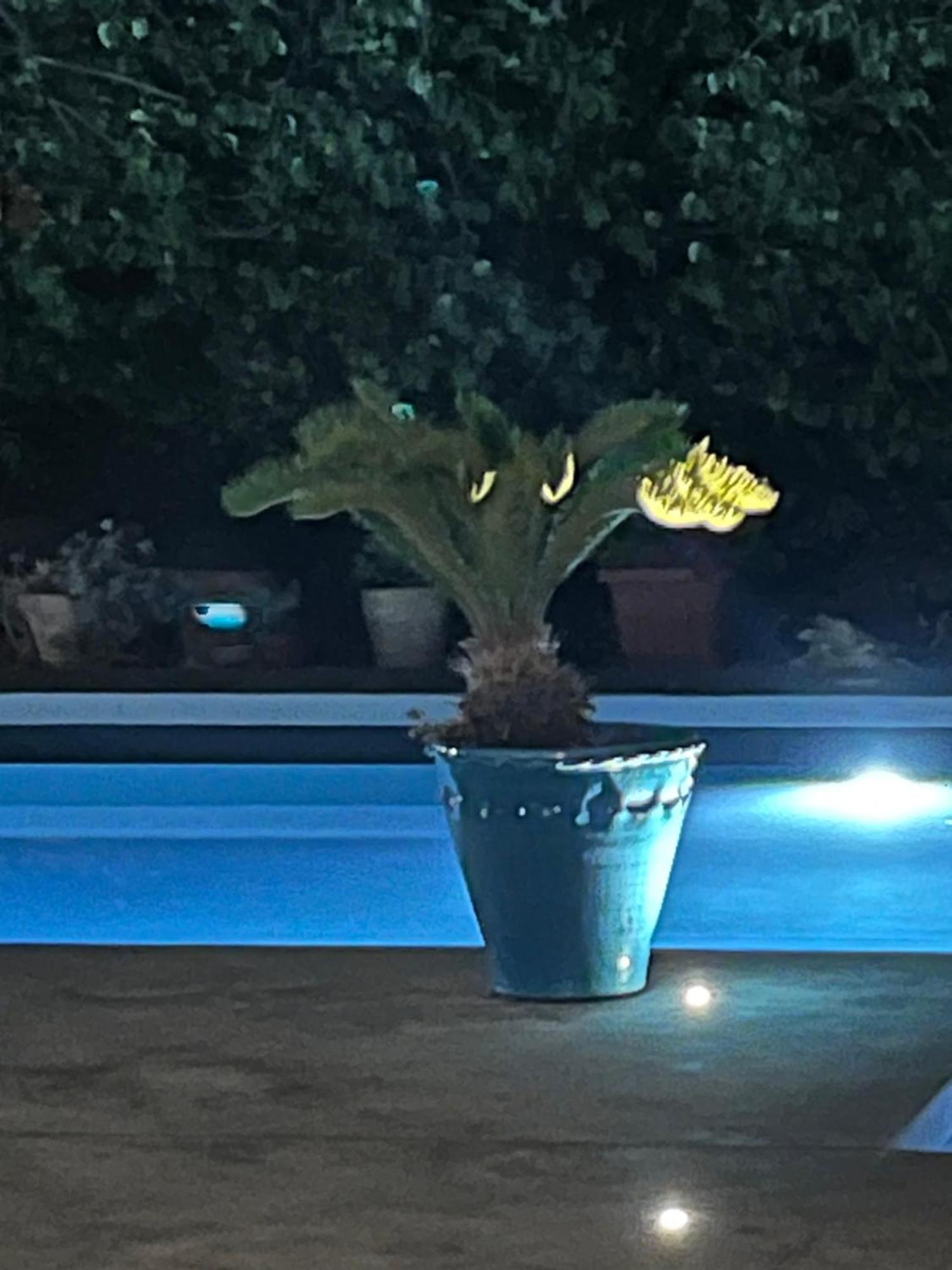 L'Annamarco Private Storical Trullo And Property With Large & Nice Swiming-Pool Ostuni Luaran gambar